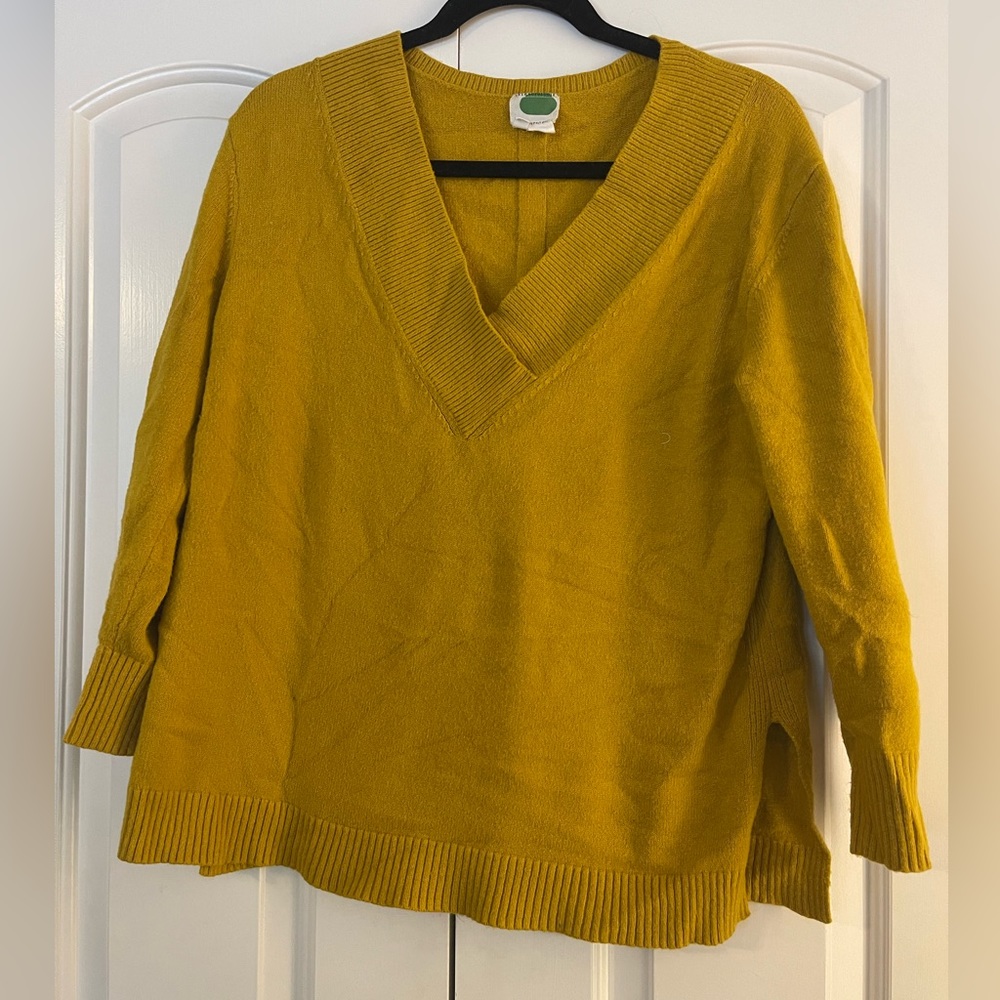 Anthropologie sweatshirt.